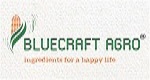 BLUECRAFTS